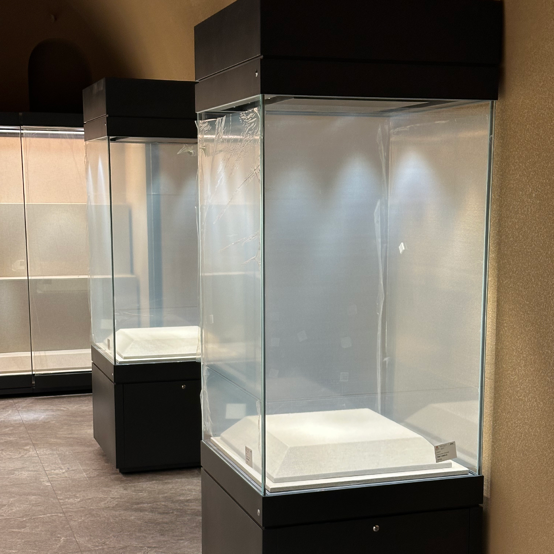 Museum Display Case